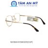 Rayban RB 8760D-209