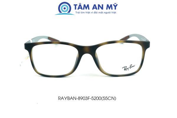 Gọng kính nam Rayban RB 8903F