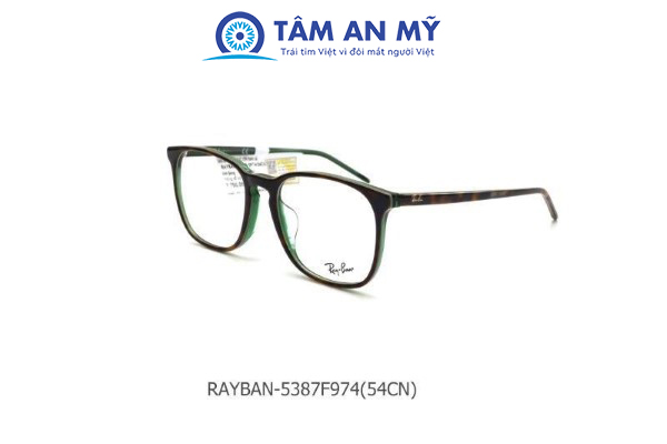 Gọng kính nữ RAYBAN 5387F-5974 (Custom)
